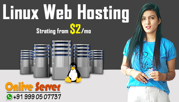 What Type of Web Hosting Server, Do You require?