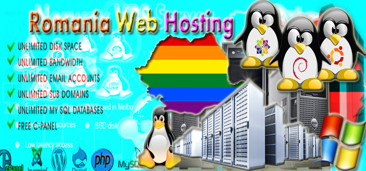 How to Fulfill Your Needs through Romania Web Hosting Provider