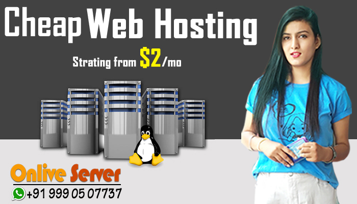 Choose any one which best suit your website: Web Hosting or website builder
