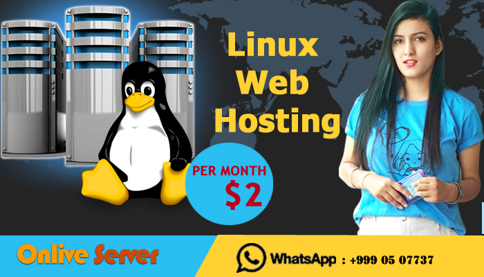Big Festival Offer with Managed Linux VPS Server offers Extra Discount.