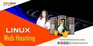 USA Linux Web Hosting